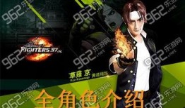 拳皇圈内爆料开挂是什么,开挂行为揭秘，揭秘游戏公平性危机